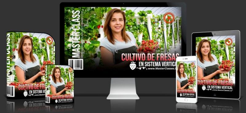 Curso de Cultivo de Fresas en Sistema Vertical