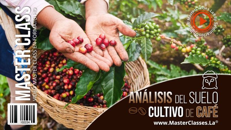 Análisis del Suelo Cultivo de Café