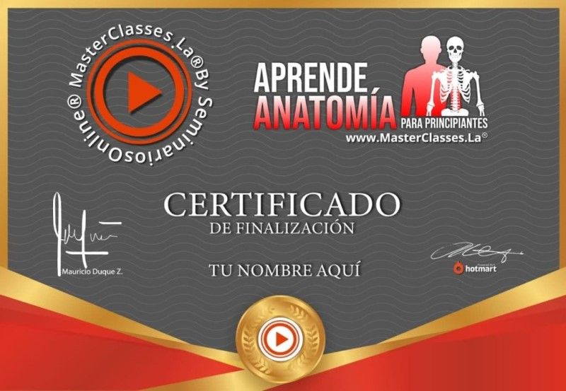 Certificado de Aprende Anatomía para Principiantes