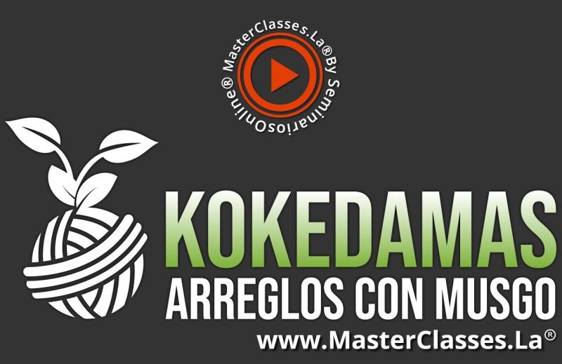 MasterClass Kokedamas Arreglos Con Musgo