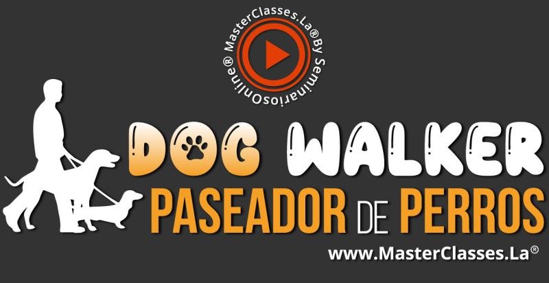 MasterClass Dog Walker - Paseador de Perros