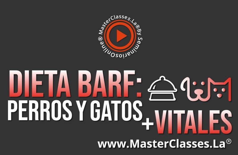 MasterClass Dieta Barf - Perros y Gatos más Vitales
