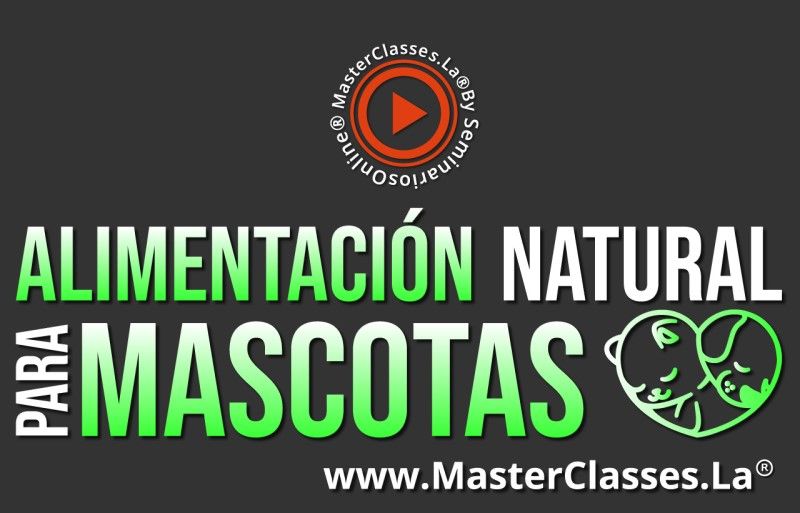 MasterClass Alimentación Natural para Mascotas