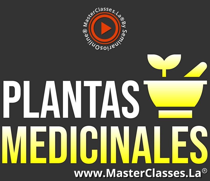 MasterClass Plantas Medicinales