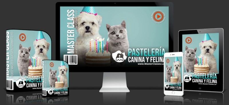Curso Online Pastelería Canina y Felina_
