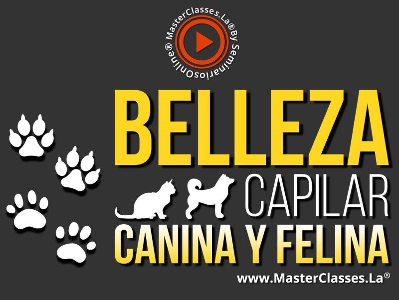 MasterClass Belleza Capilar Canina y Felina