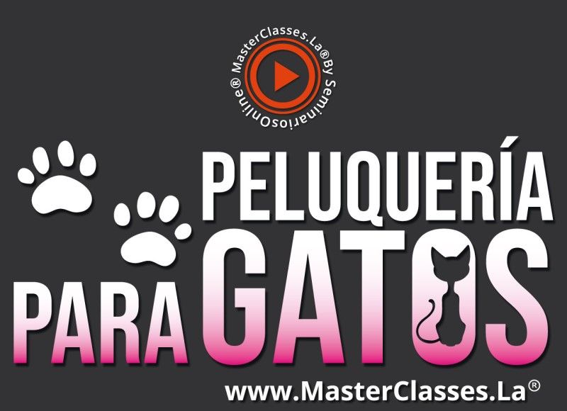 MasterClass Peluquería para Gatos