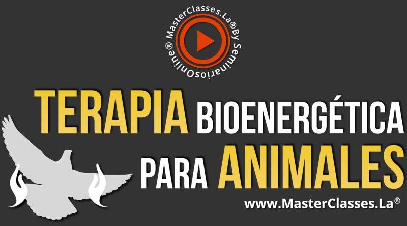 MasterClass Terapia Bioenergética para Animales