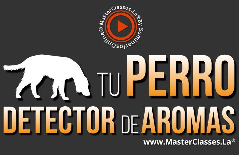 MasterClass Tu Perro Detector de Aromas