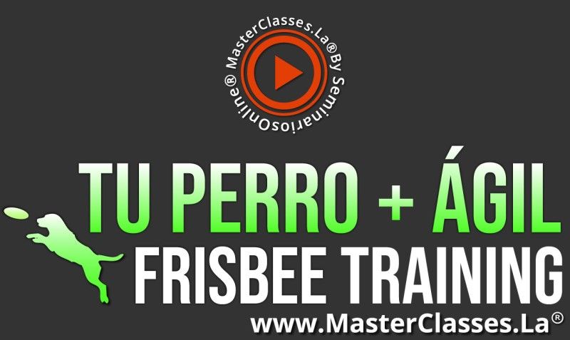 MasterClass Tu Perro + Ágil - Frisbee Training