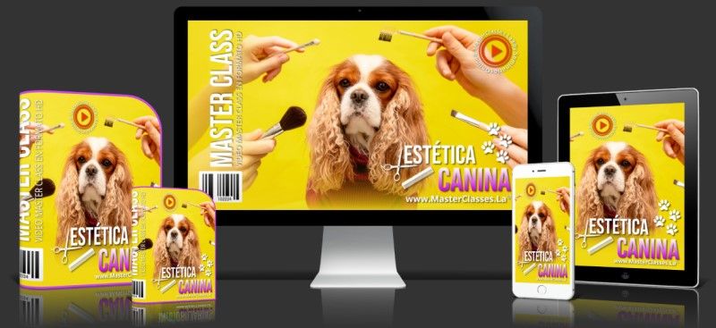 Curso Online de Estética Canina