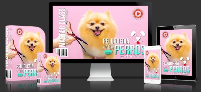 Curso Online de Peluquería para Perros
