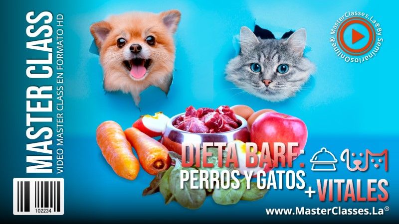 Dieta Barf – Perros y Gatos más Vitales