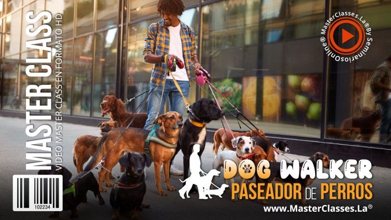 Dog Walker – Paseador de Perros