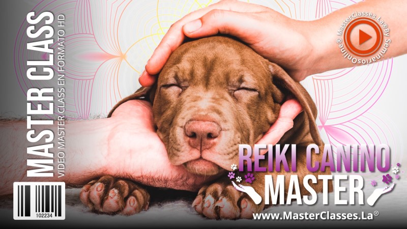 Reiki Canino Master