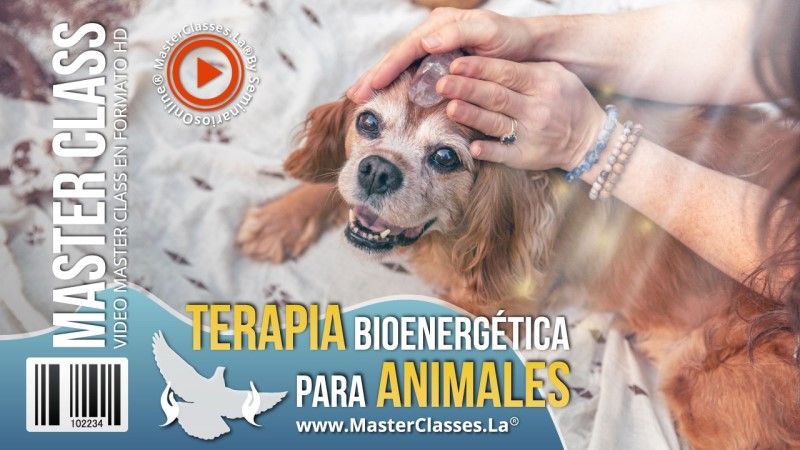 Terapia Bioenergética para Animales